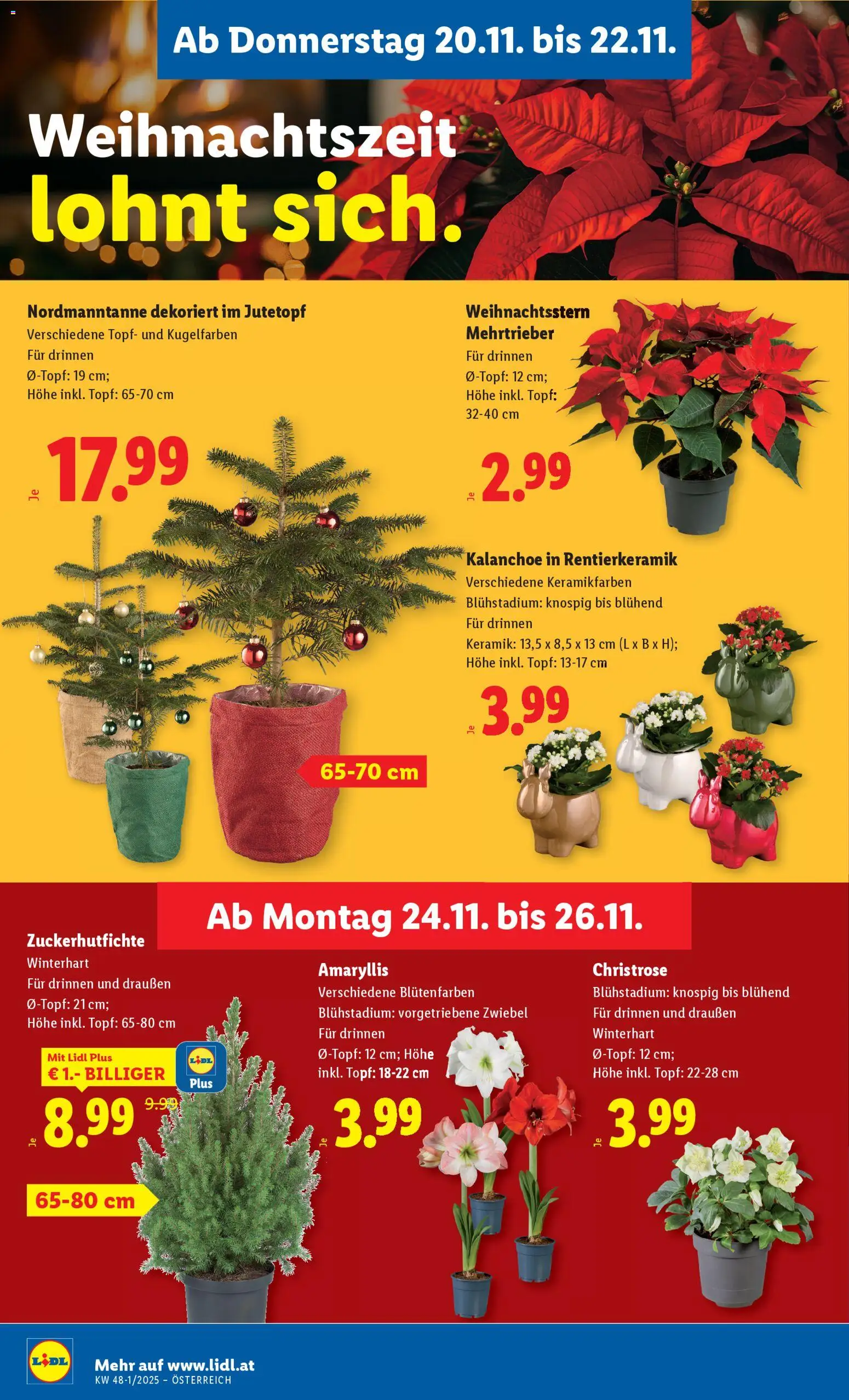 Lidl Flugblatt - Oberpullendorf, Güssing, Oberwart gültig ab 20.11.2025 | Seite: 26
