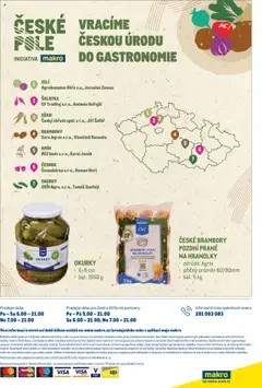 Makro leták - Burgery od 17.07.2025 | Strana: 24 | Produkty: Křen, Zelí, Brambory, Dekorace