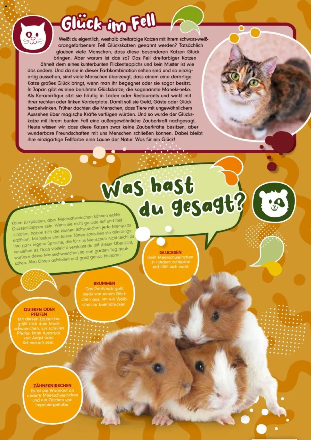 zookauf Kids – gültig ab 01.10.2025 | Seite: 2