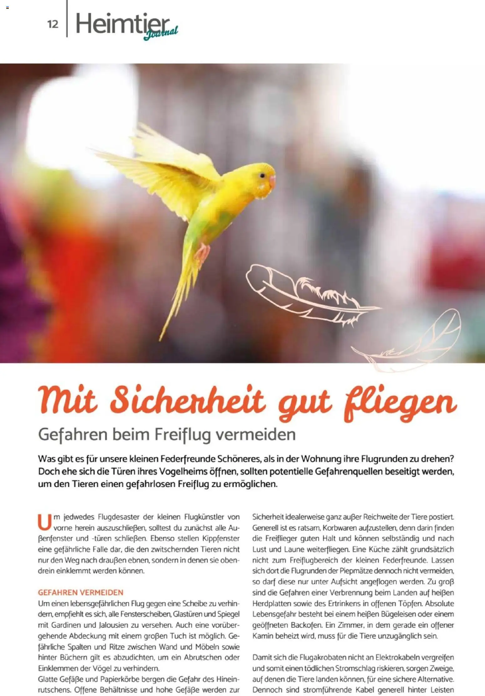zookauf  Heimtier Journal – gültig ab 01.02.2026 | Seite: 12 | Produkte: Kabel, Bügeleisen, Kamin, Spiegel