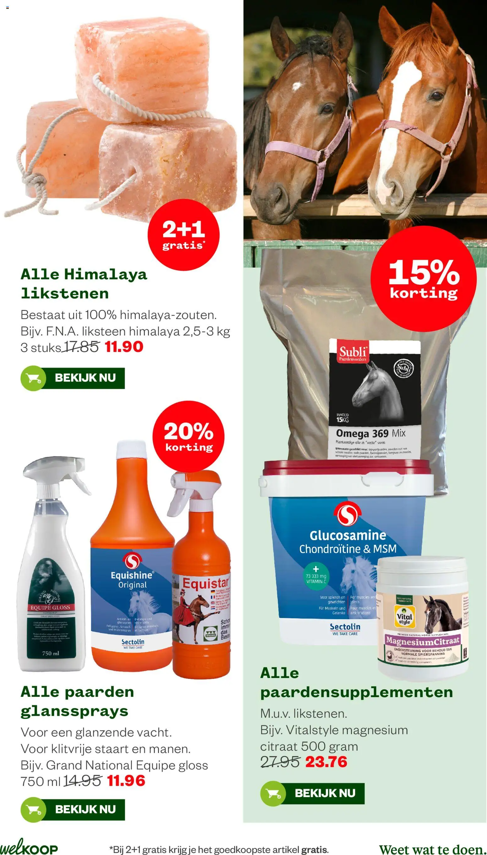 {H1} | Pagina: 29 | Producten: Káposztalevél, Olie