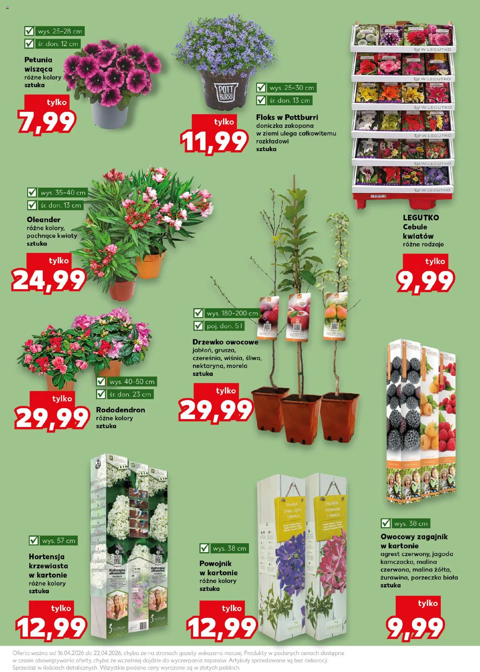Kaufland Polsko leták - Wiosenne inspiracje od 16.04.2026 | Strana: 11