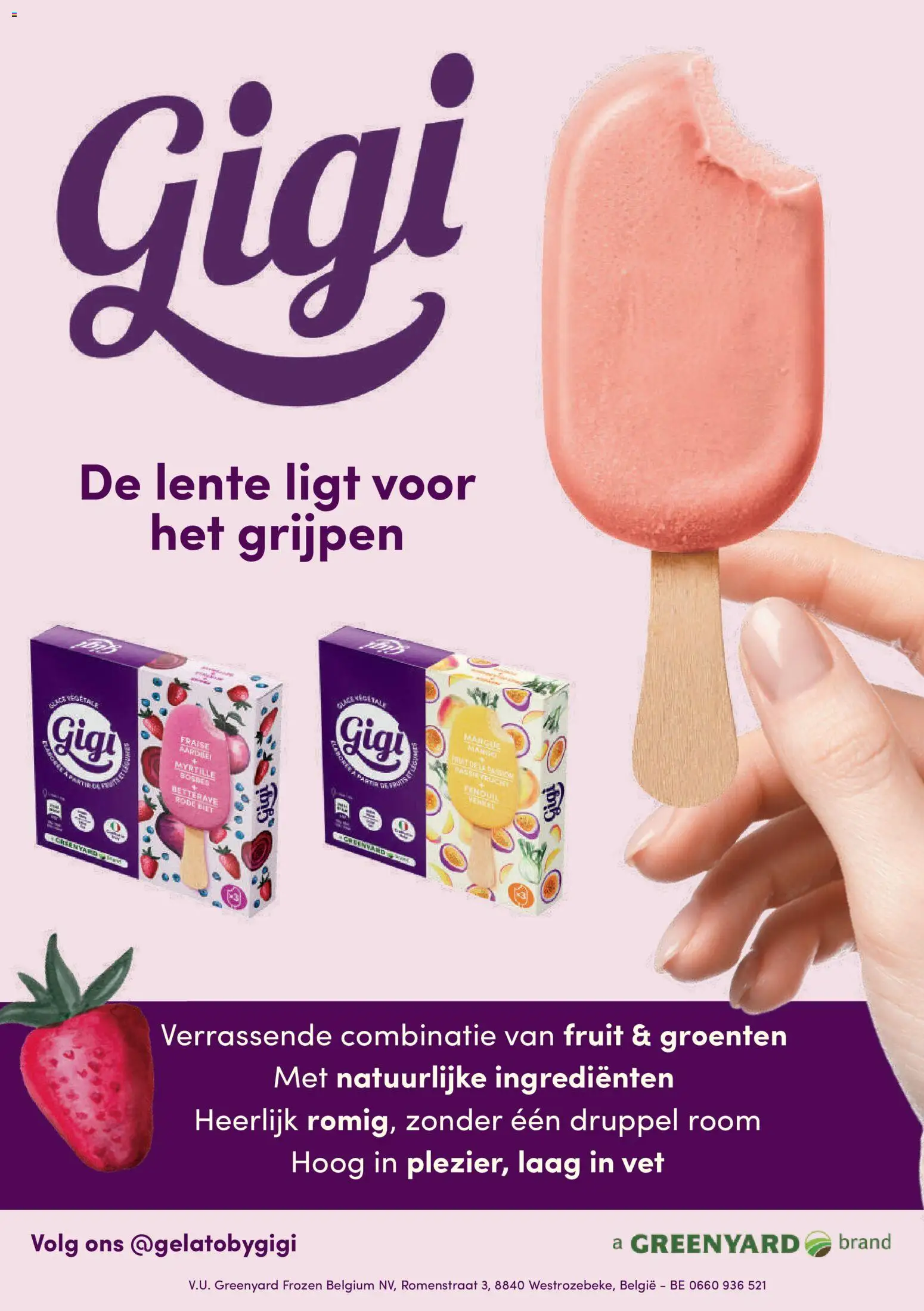 {H1} | Pagina: 16 | Producten: Room, Fruit, Groenten