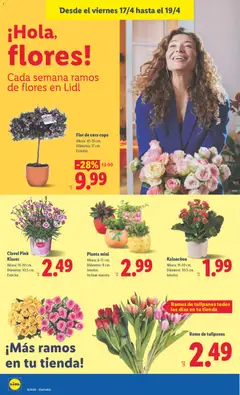 Vista previa Ramo de tulipanes, Ramo de tulipanes todos los días en tu tienda válido desde el 13.04.2026 | Página: 46