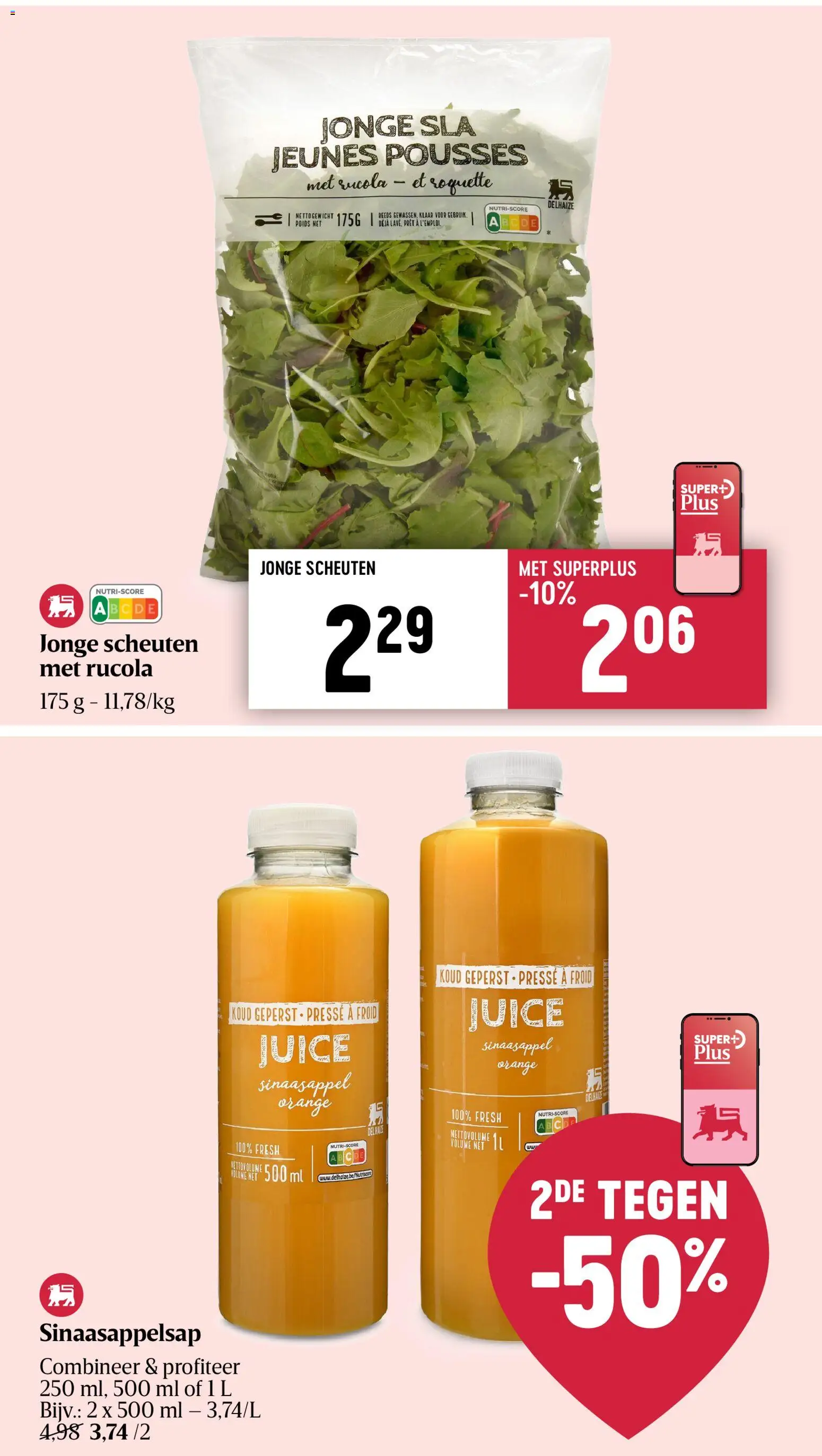 {H1} | Pagina: 16 | Producten: Sla, Rucola