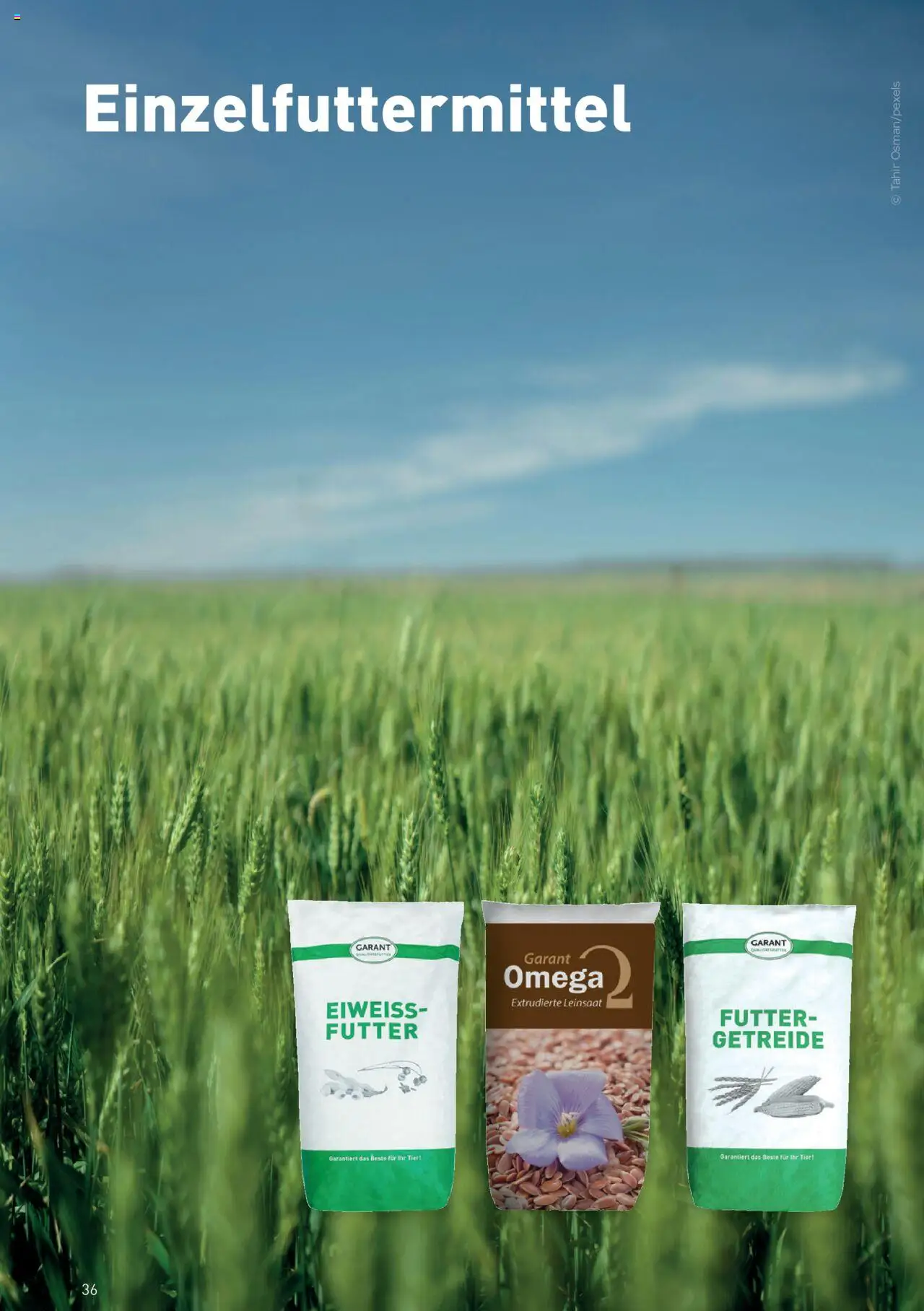 Lagerhaus  Pegus gültig ab 10.09.2025 | Seite: 36 | Produkte: Getreide