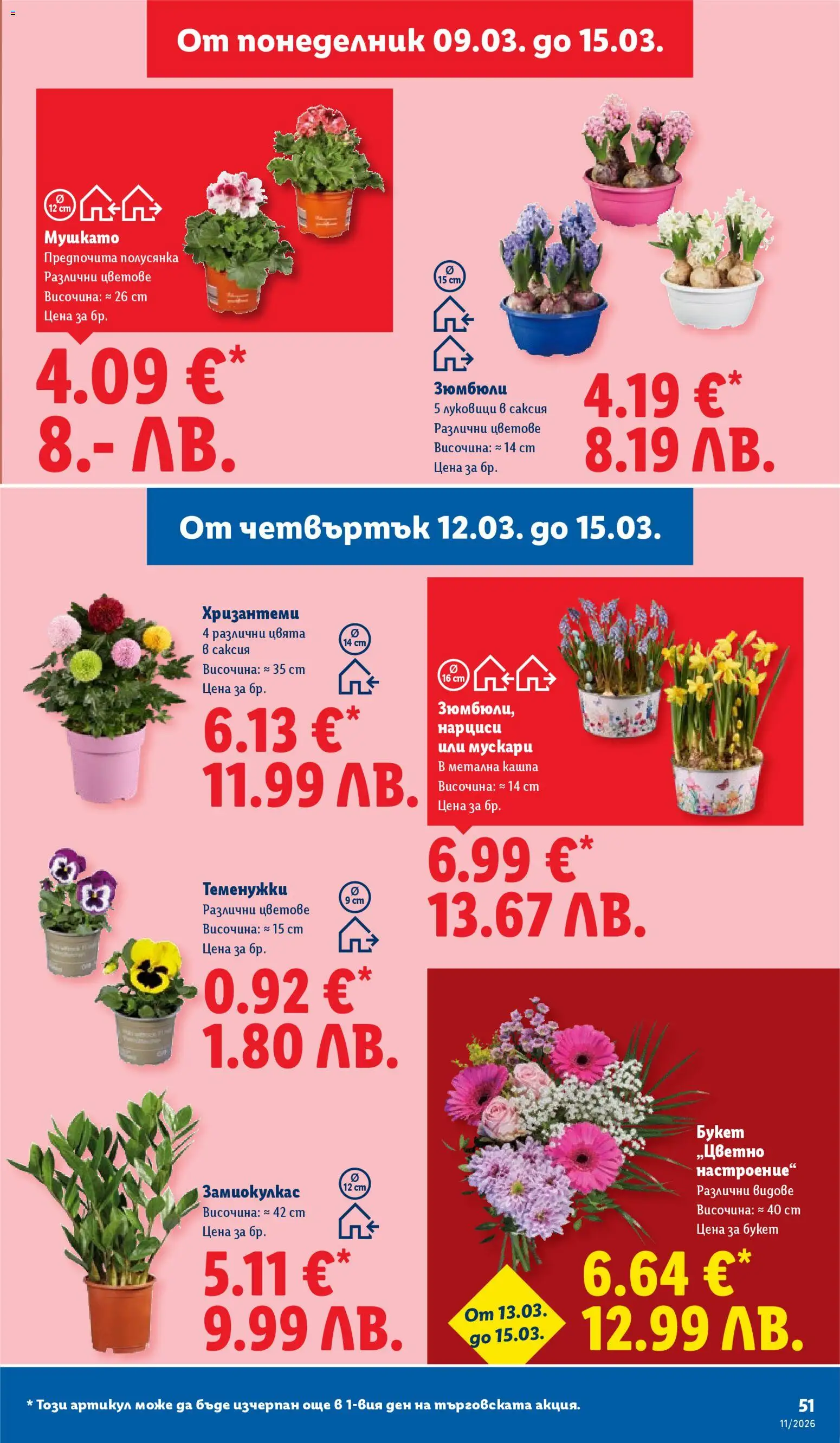 {H1} | Страница: 51 | Продукти: Кашпа, Саксия