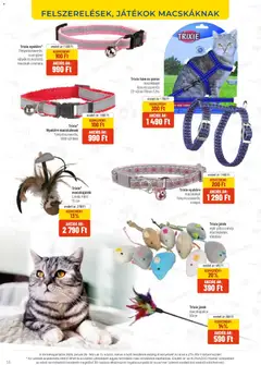 AlphaZoo Akciós újság - amely érvényes a következő dátumtól: 26.01.2026 | Oldal: 16