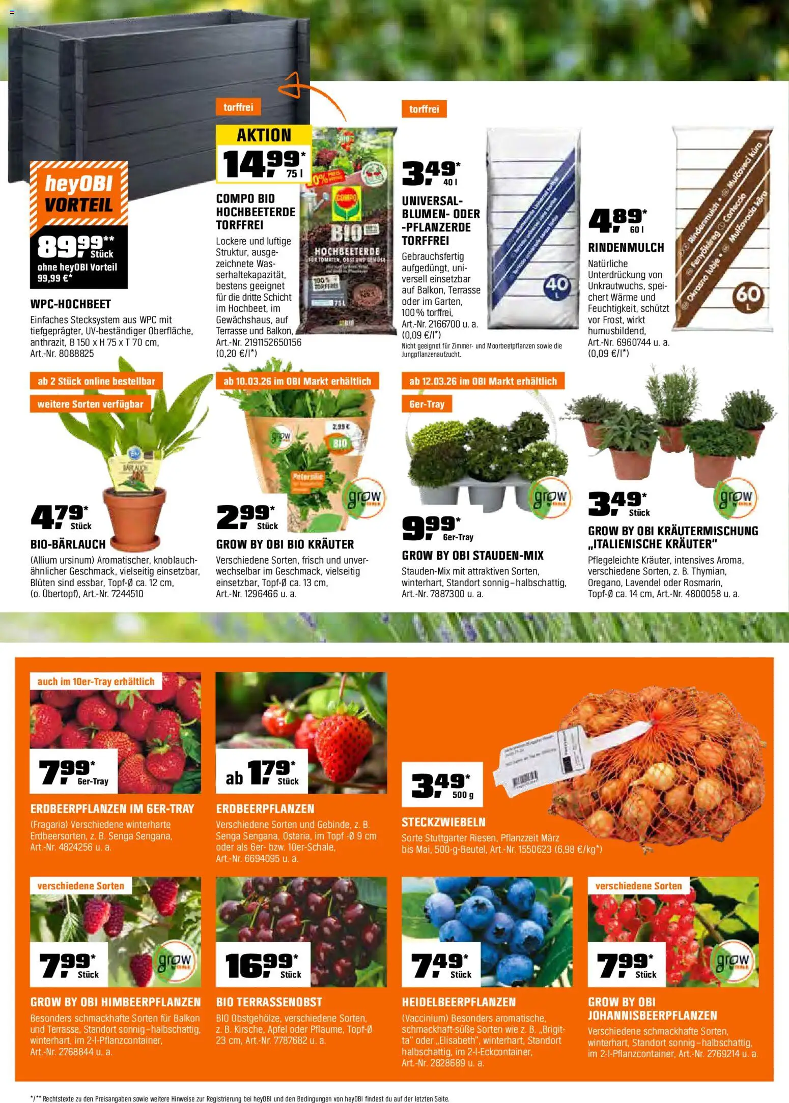 Obi Prospekt 	 – gültig ab 01.03.2026 | Seite: 7 | Produkte: Rindenmulch, Pflanzerde, Blumen, Petersilie