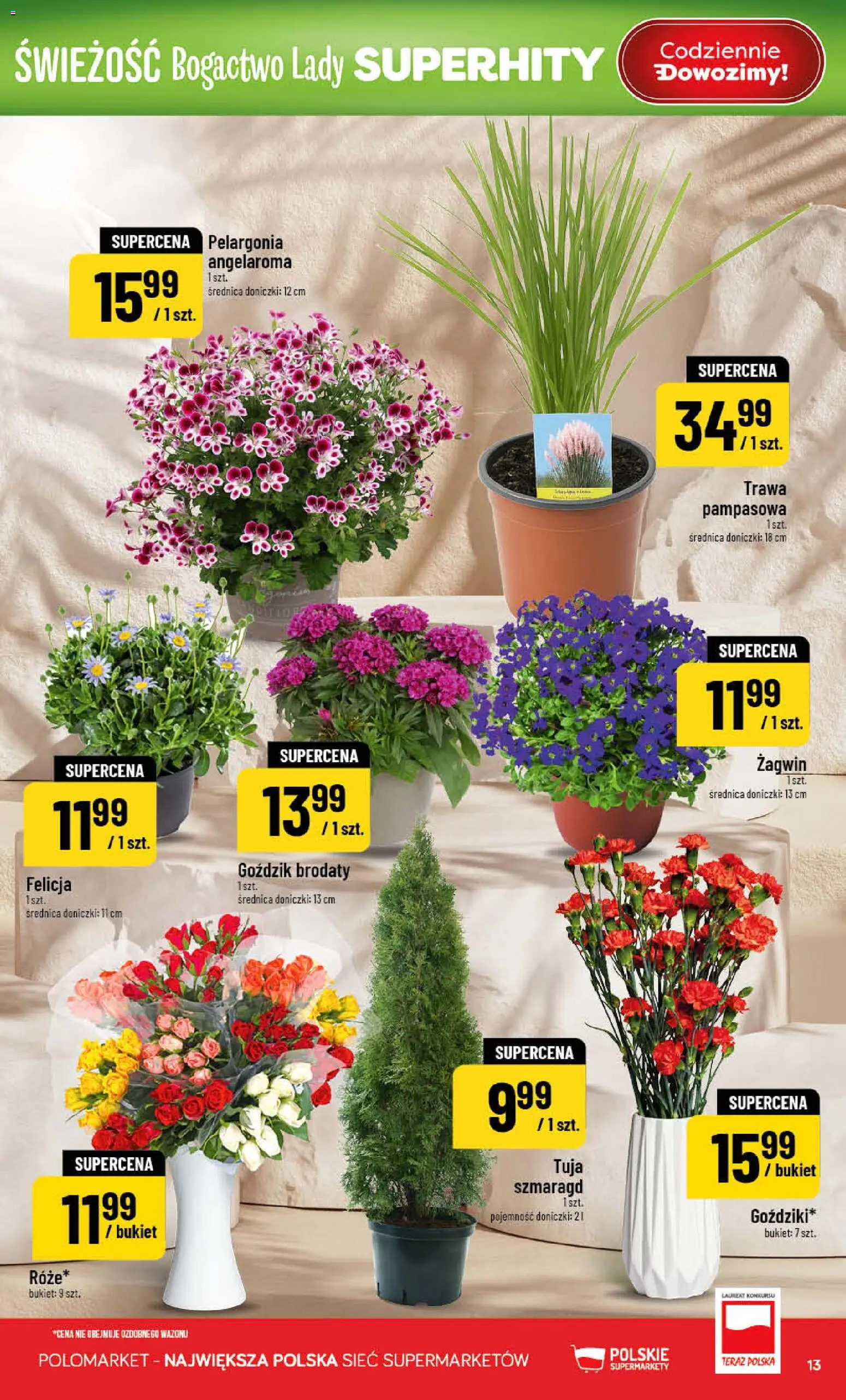POLOmarket gazetka od 08.04.2026 | Strona: 13 | Produkty: Goździk, Doniczki, Trawa pampasowa