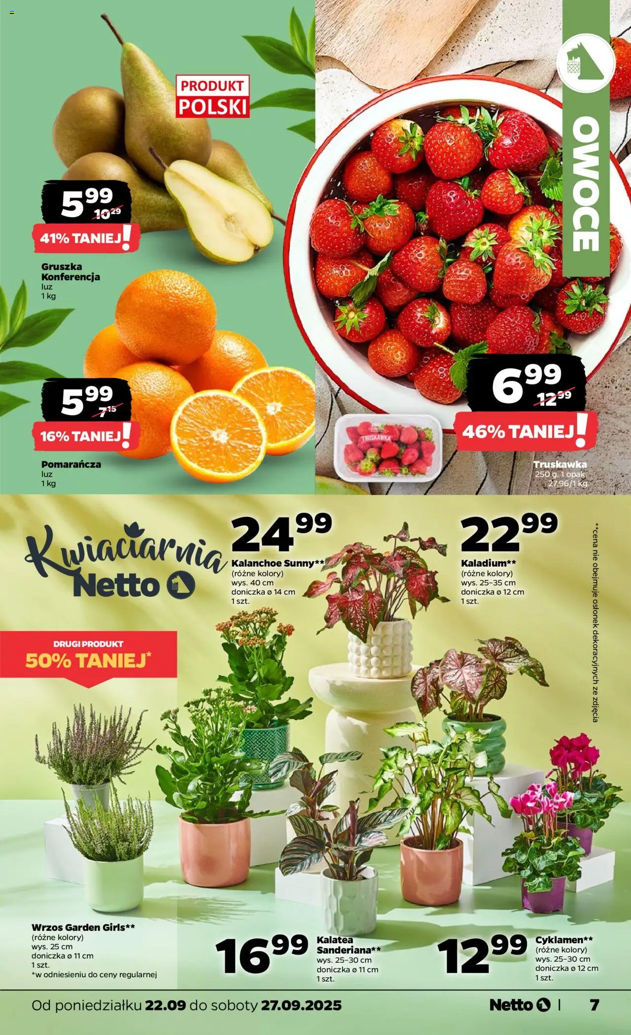 Netto gazetka - Spożywcza od 22.09.2025 | Strona: 7 | Produkty: Wrzos, Doniczka, Kalanchoe, Owoce