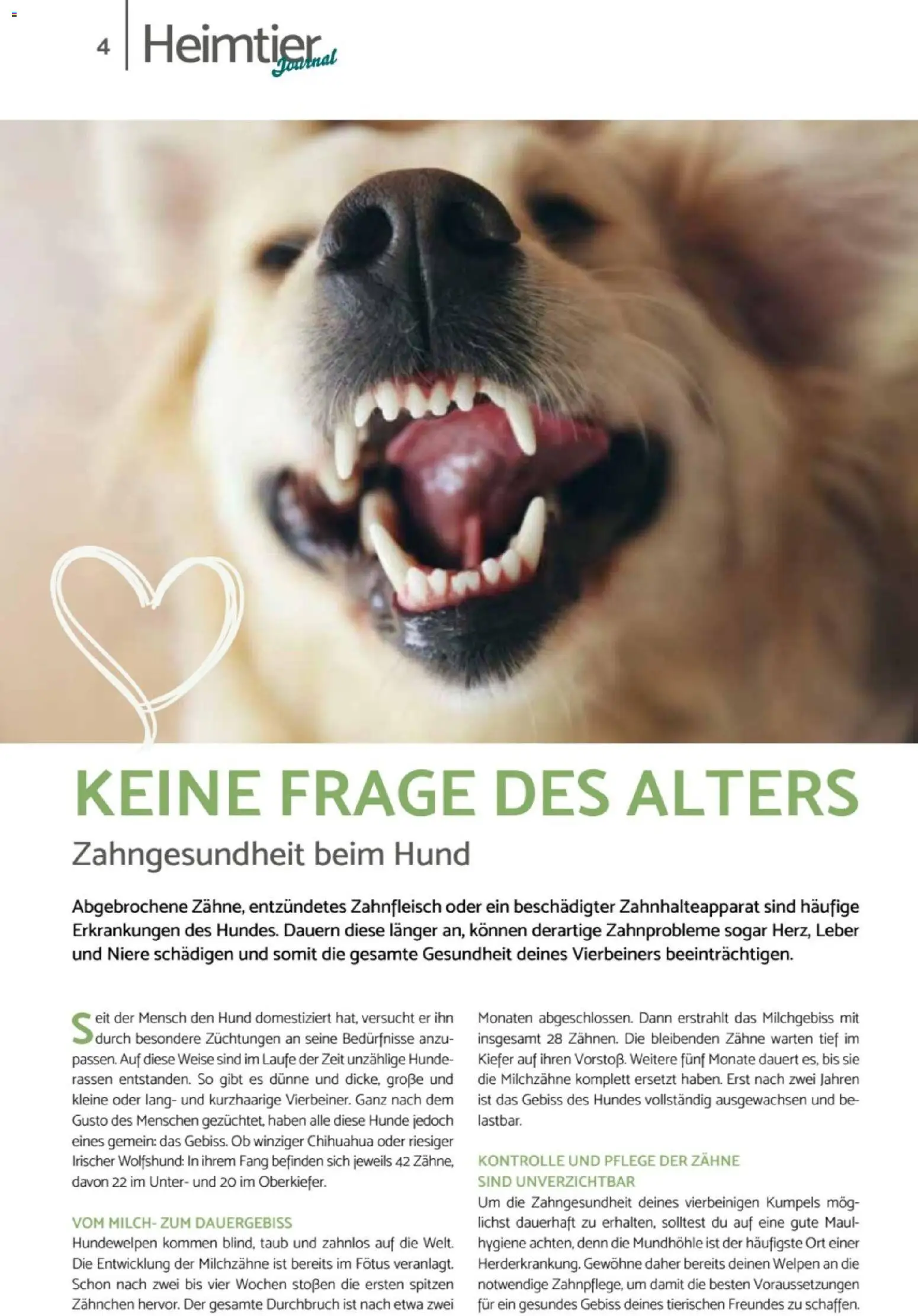 zookauf  Heimtier Journal – gültig ab 01.02.2026 | Seite: 4