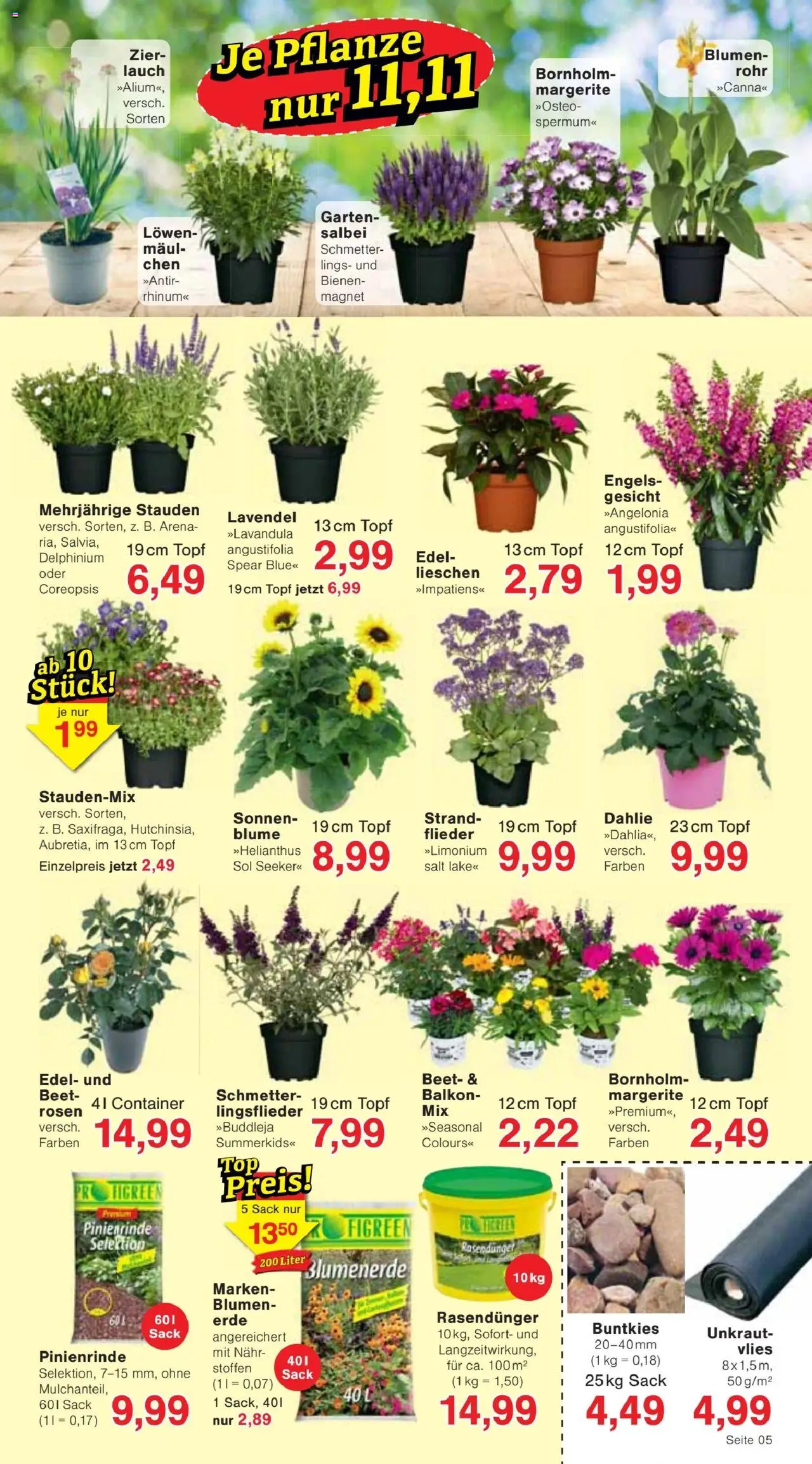 Jawoll Prospekt - gültig ab dem 23.06.2025 | Seite: 11 | Produkte: Blumen, Blumenerde, Lavendel
