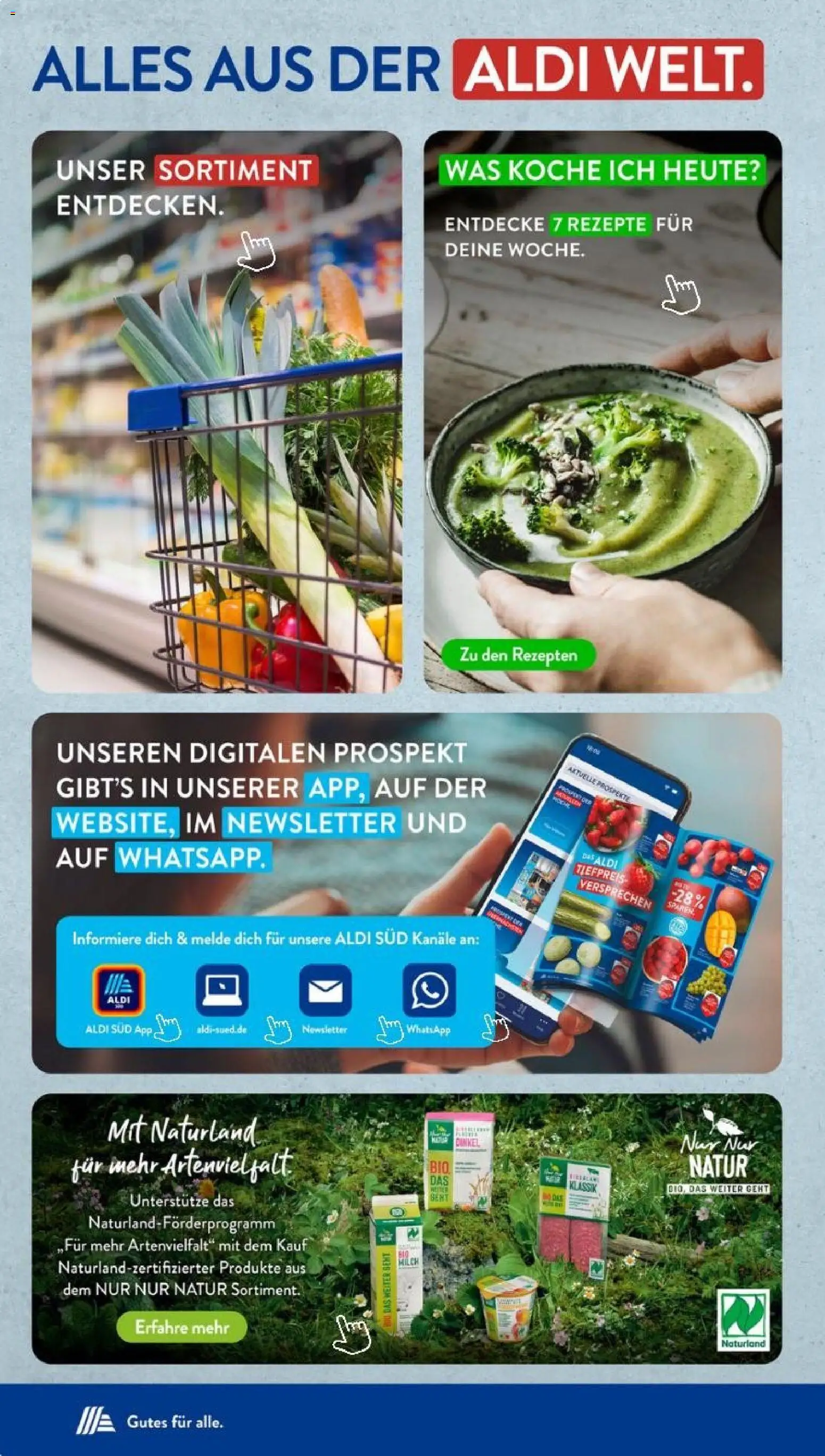 Aldi Süd Prospekt 	 – gültig ab 26.01.2026 | Seite: 24 | Produkte: Milch