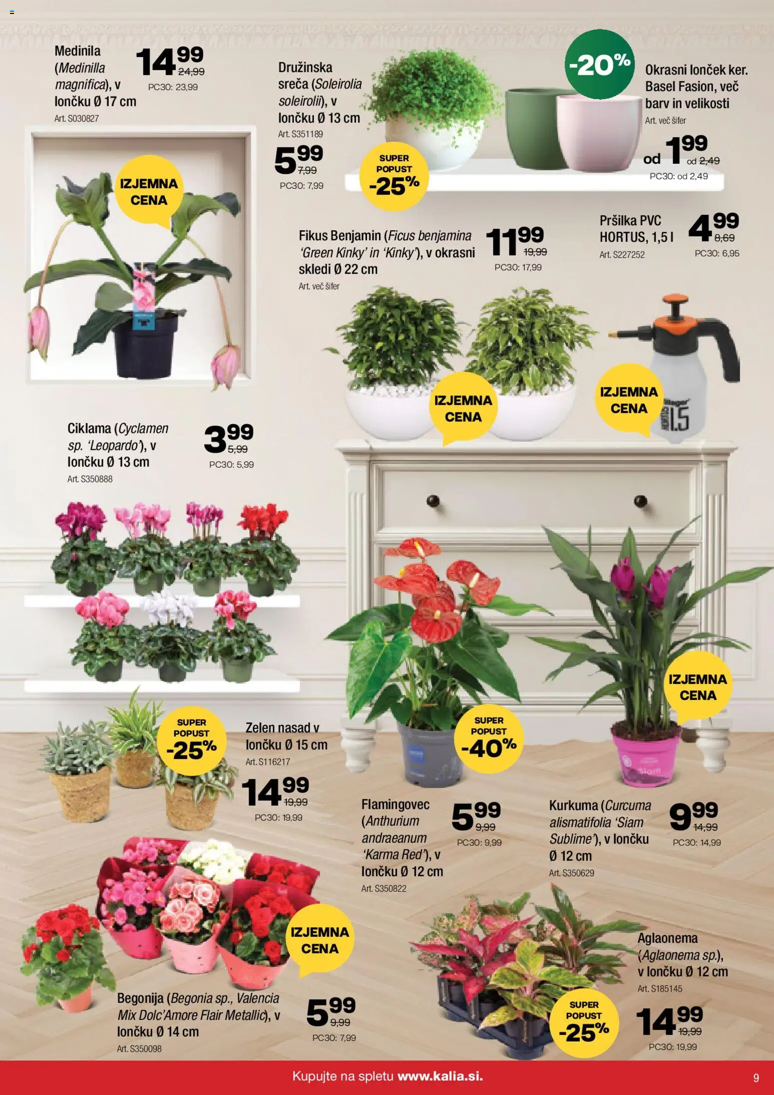 Novi Kalia katalog ponudbe – veljaven od 10.11.2025 | Stran: 9 | Izdelki: Okrasni loncek