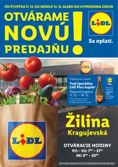 Lidl leták platný od 11.12.2025