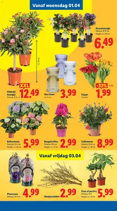 Vaas Same, Ca. 21 cm - Voorbeeld van een folder van Lidl, geldig van 30.03.2026 | Pagina: 40 | Producten: Vaas
