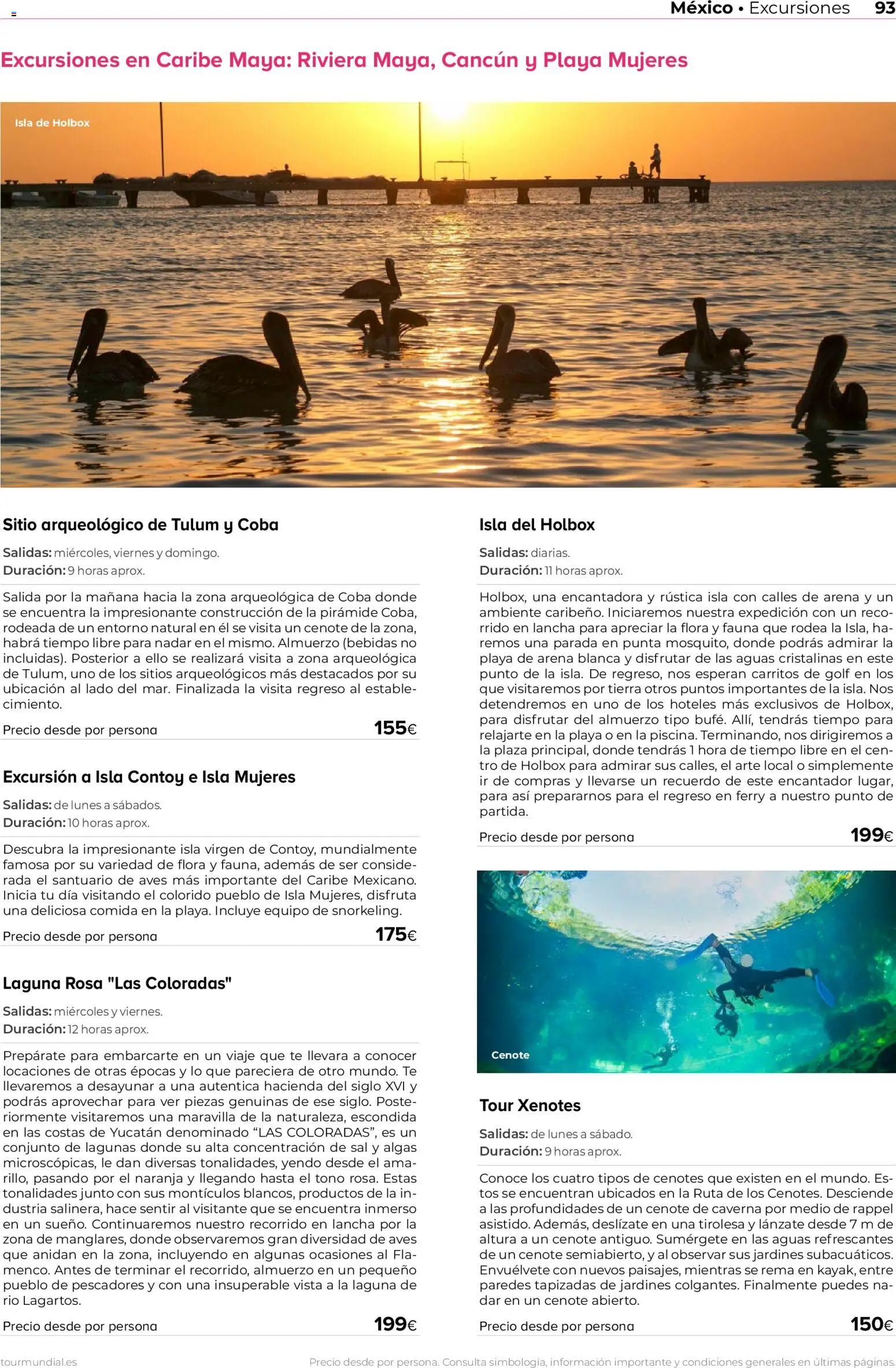 Viajes El Corte Inglés Norteamérica y Caribe │ válido desde el 01.01.2026 | Página: 93 | Productos: Té