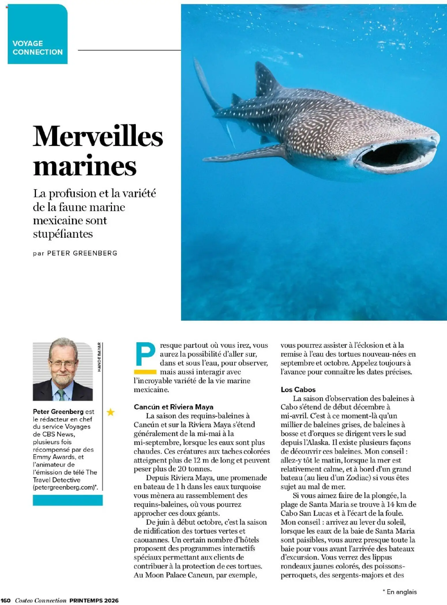 {H1} | Page: 160 | Produits: Mais, Thé