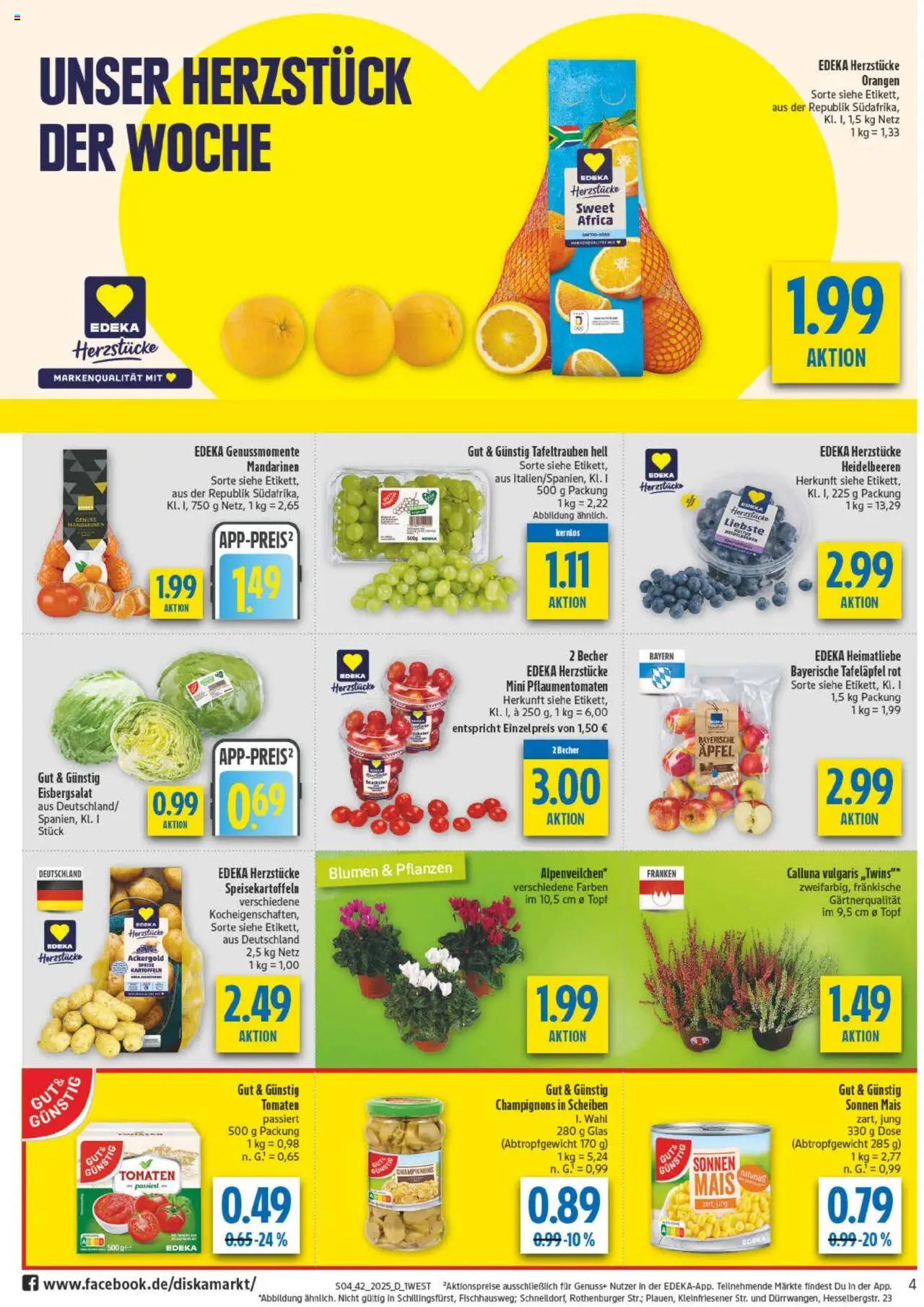 Diska - diska Angebote Bayern KW42 – gültig ab 13.10.2025 | Seite: 4 | Produkte: Blumen, Heidelbeeren, Champignons, Kartoffeln