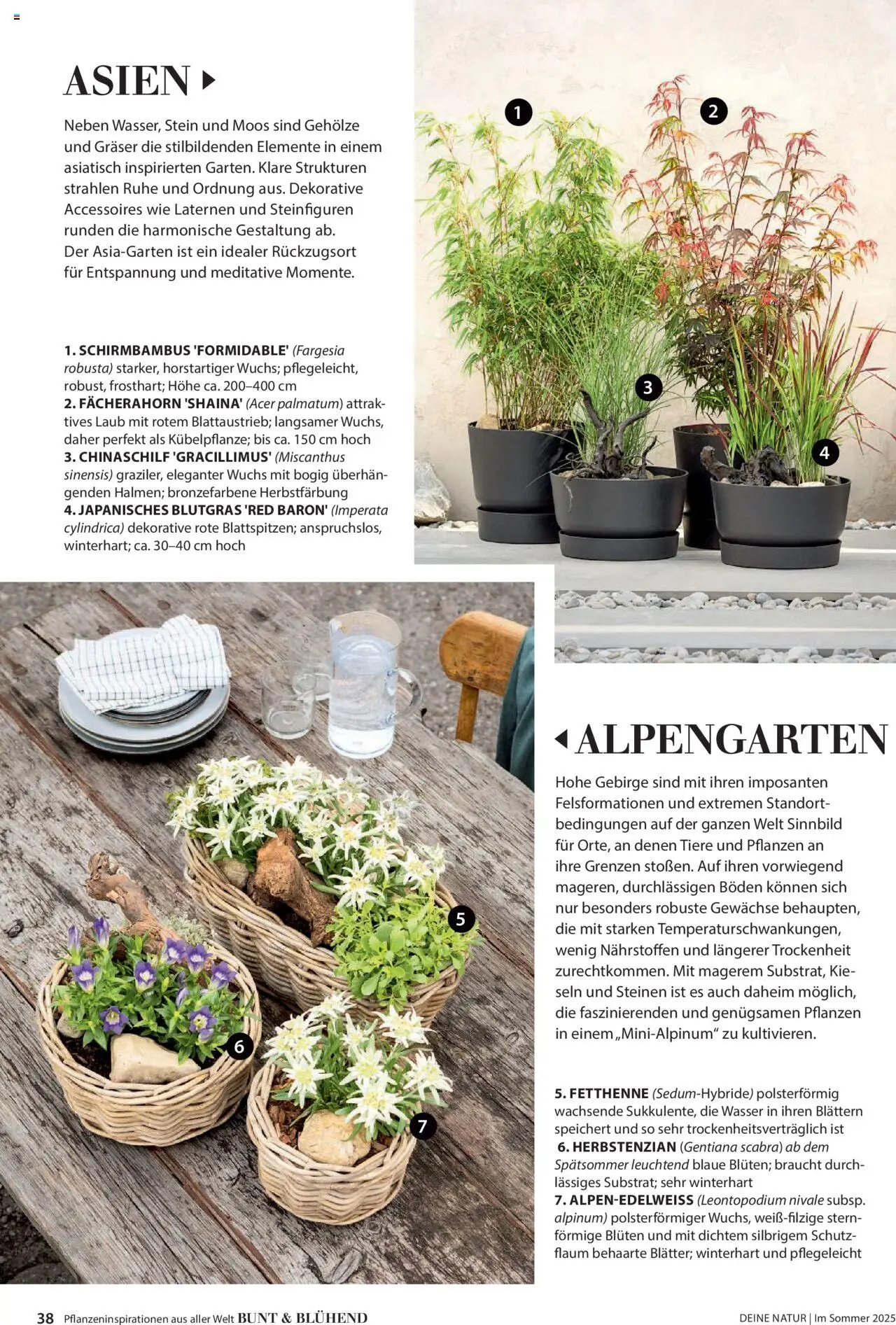 Dehner Prospekt - Deine Natur – gültig ab 23.04.2025 | Seite: 38 | Produkte: Wasser