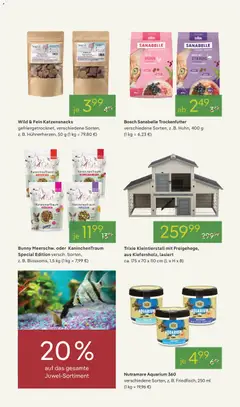 Pflanzen-Kölle Prospekt 	 ab 16.03.2026 gültig | Seite: 13 | Produkte: Bosch, Blaubeeren