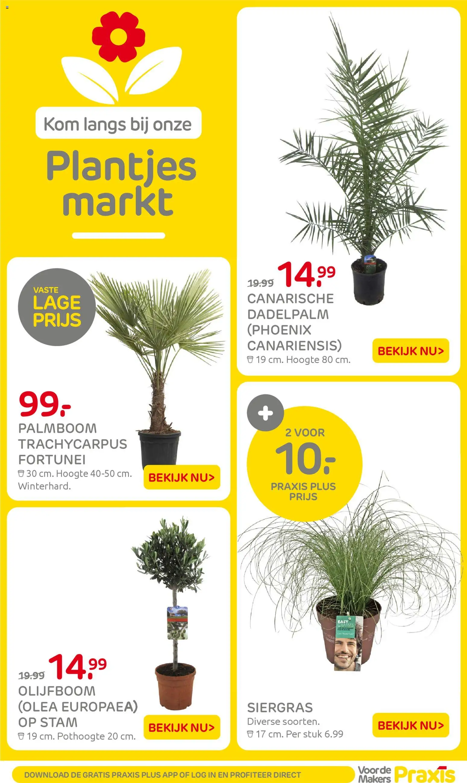 {H1} | Pagina: 28 | Producten: Kom