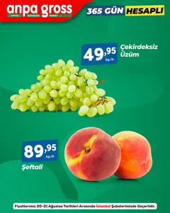 20.08.2025 tarihinden itibaren geçerli olan Anpa Gross kataloğu önizlemesi