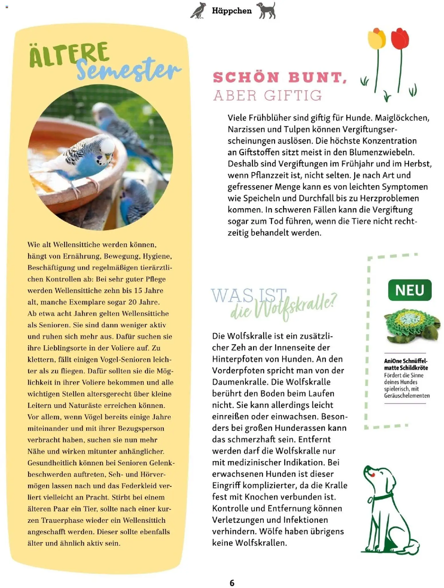 Fressnapf Friends 02/26 gültig ab 01.03.2026 | Seite: 6