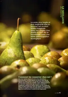 Grand Frais - Prévisualisation de Grand Frais catalogue valide à partir de 01.12.2025 | Page: 51 | Produits: Tente, Frigo