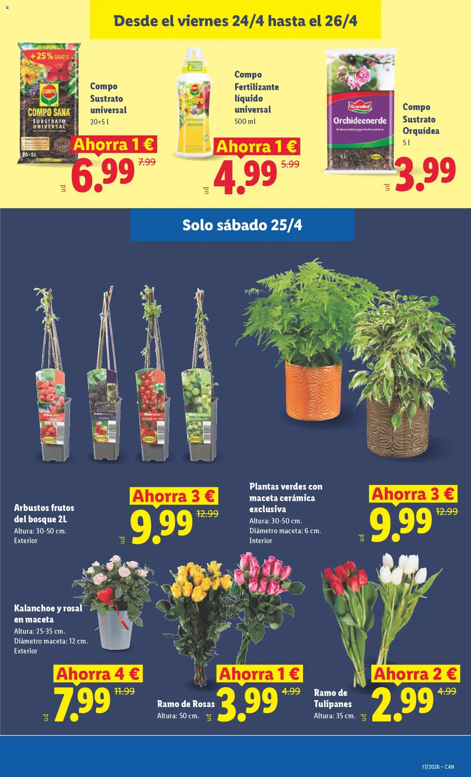 Lidl Canarias │ válido desde el 20.04.2026 | Página: 43 | Productos: Maceta