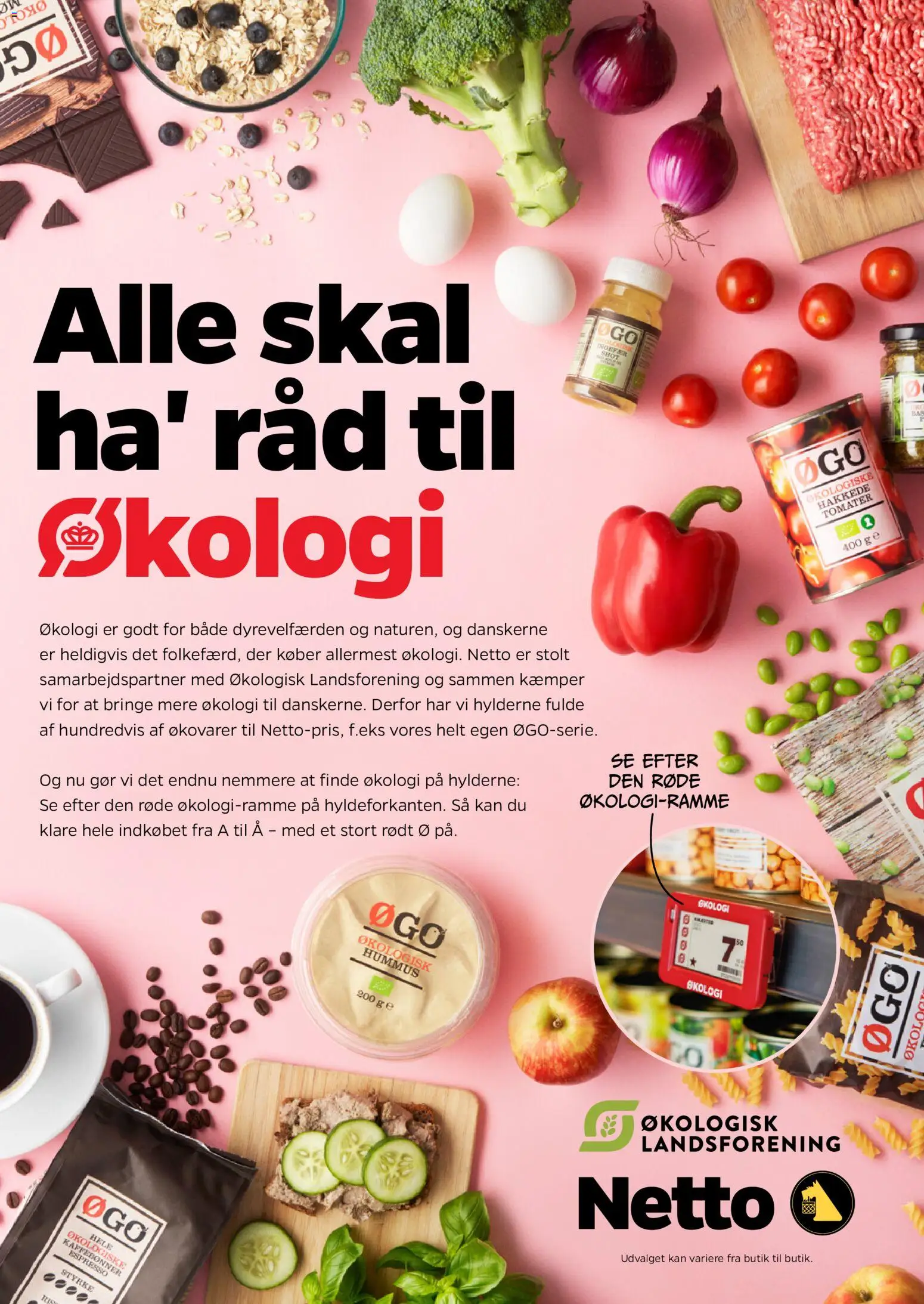 Netto tilbudsavis – gyldig fra 31.01.2026 | Side: 3 | Produkter: Ingefær, Tomater, Hakkede tomater