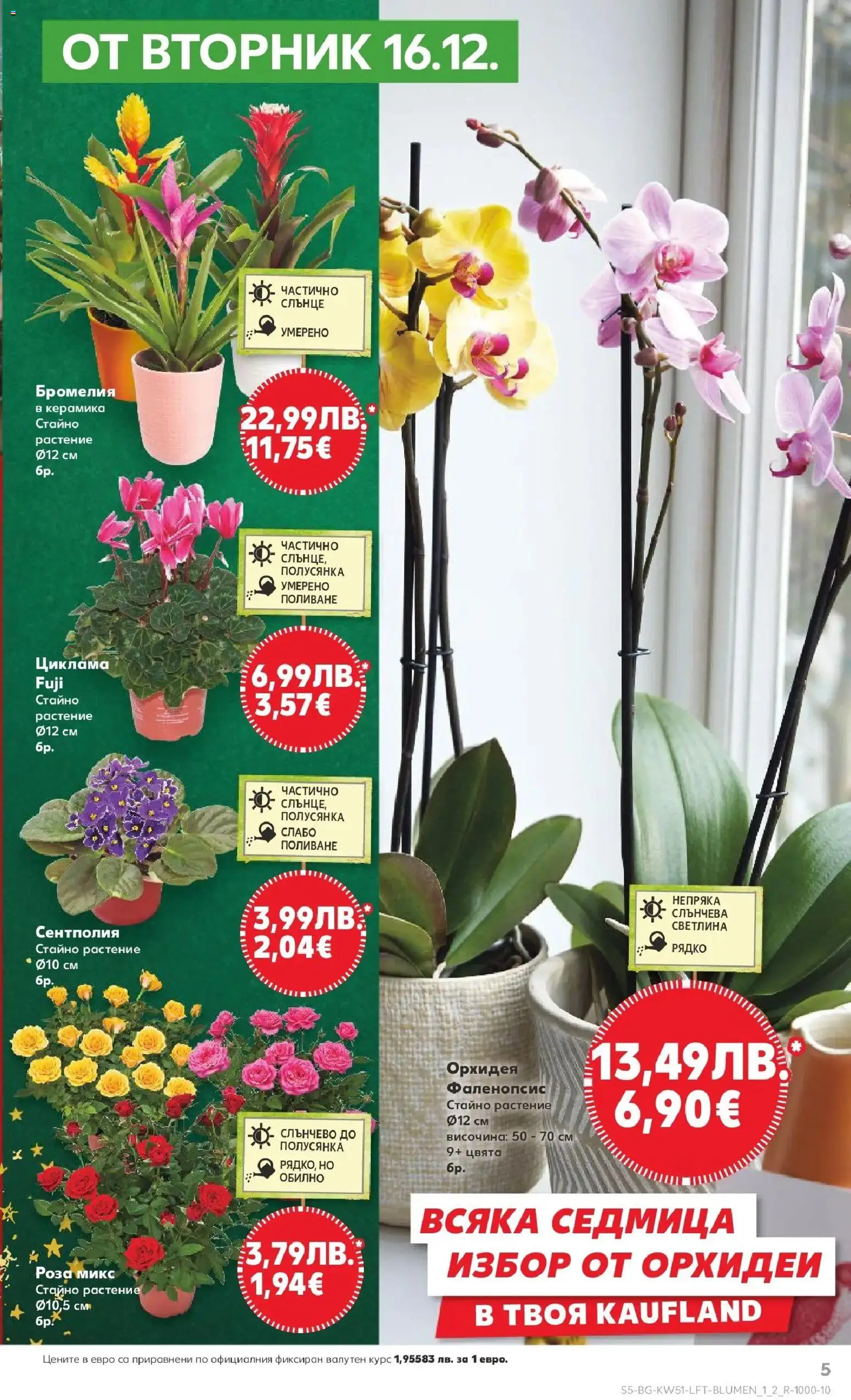 {H1} | Страница: 9 | Продукти: Орхидея, Роза