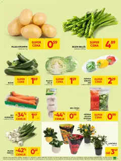 Tuš katalog akcije – veljaven od 08.04.2026 | Stran: 3 | Izdelki: Paprika, Lončnice, Korencek, Krompir