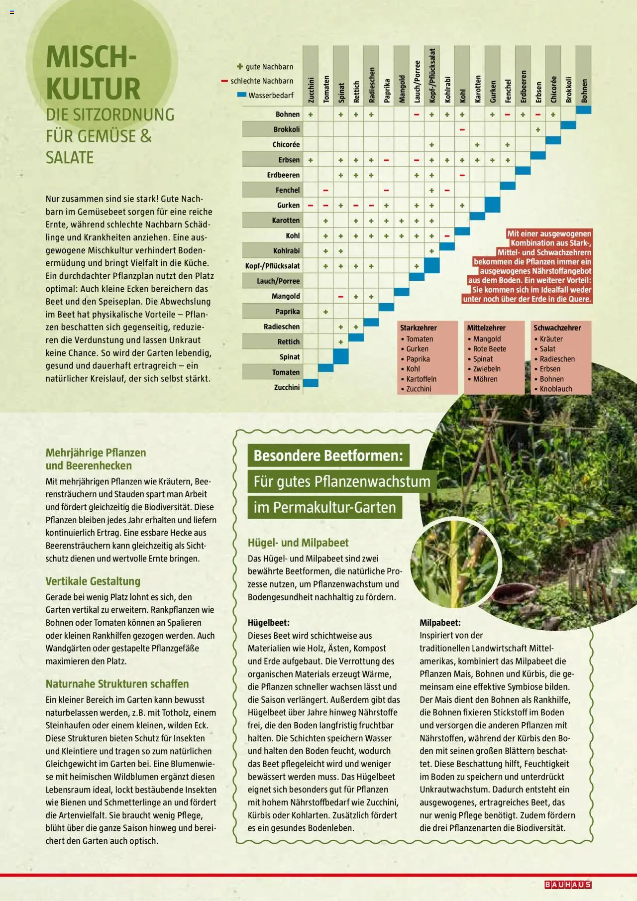 Bauhaus Reiche Ernte Magazin 2025 gültig ab 01.07.2025 | Seite: 41 | Produkte: Erdbeeren, Zwiebeln, Erbsen, Kürbis