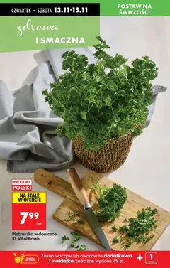 Pogląd oferty "Pietruszka w doniczce XL Vital Fresh, Pietruszka w doniczce XL" - ważna od 13.11.2025 | Strona: 23 | Produkty: Pietruszka, Warzywa, Owoce