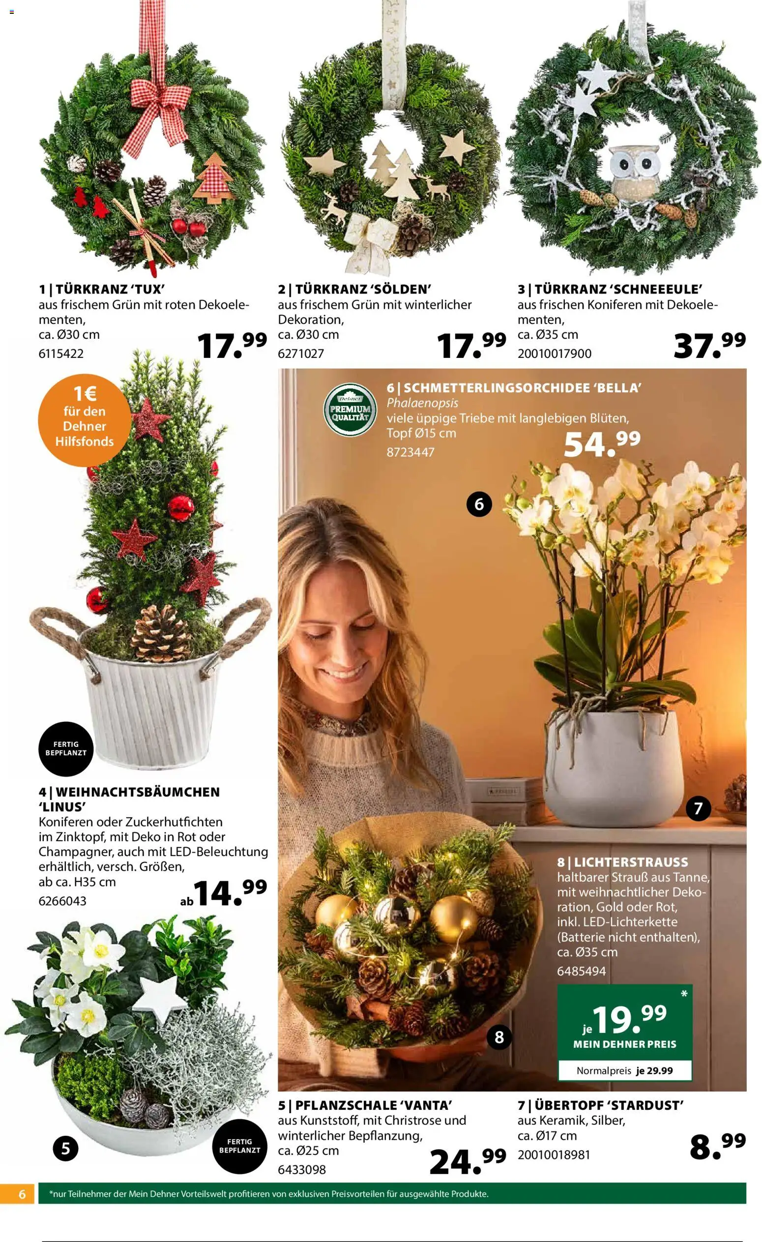 Dehner Advents Zauber gültig ab 19.11.2025 | Seite: 6 | Produkte: Batterie