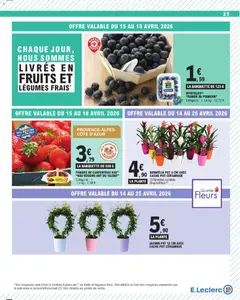 E.Leclerc - Prévisualisation de E.Leclerc catalogue de la semaine 16 valide à partir de 14.04.2026 | Page: 25 | Produits: Myrtilles, Panier, Fraises