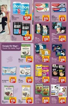 Rewe prospekt Michelstadt	 ab 19.10.2025 gültig | Seite: 36 | Produkte: Sheba, Limonade, Purina gourmet gold, Whiskas