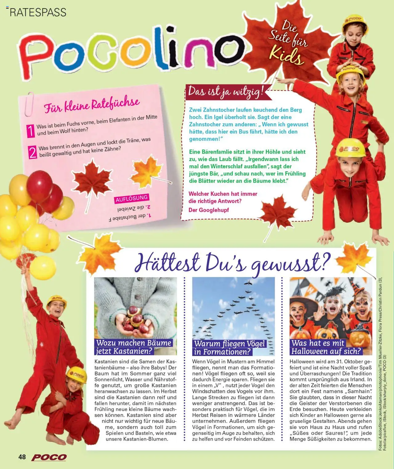 Poco Wohnwelt Herbst 2025 – gültig ab 01.09.2025 | Seite: 48 | Produkte: Wasser, Süßigkeiten, Kuchen