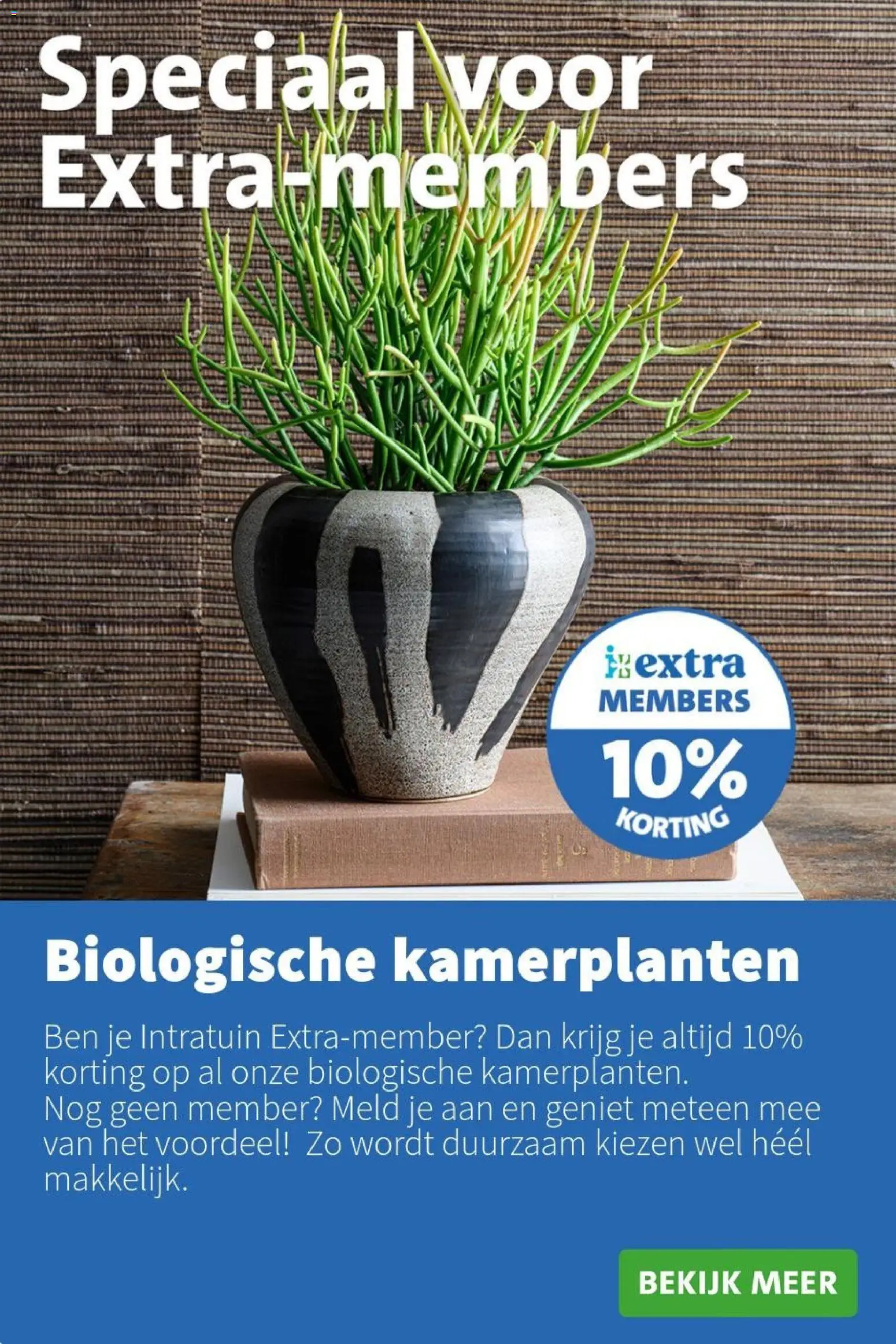 {H1} | Pagina: 12 | Producten: Kamerplanten