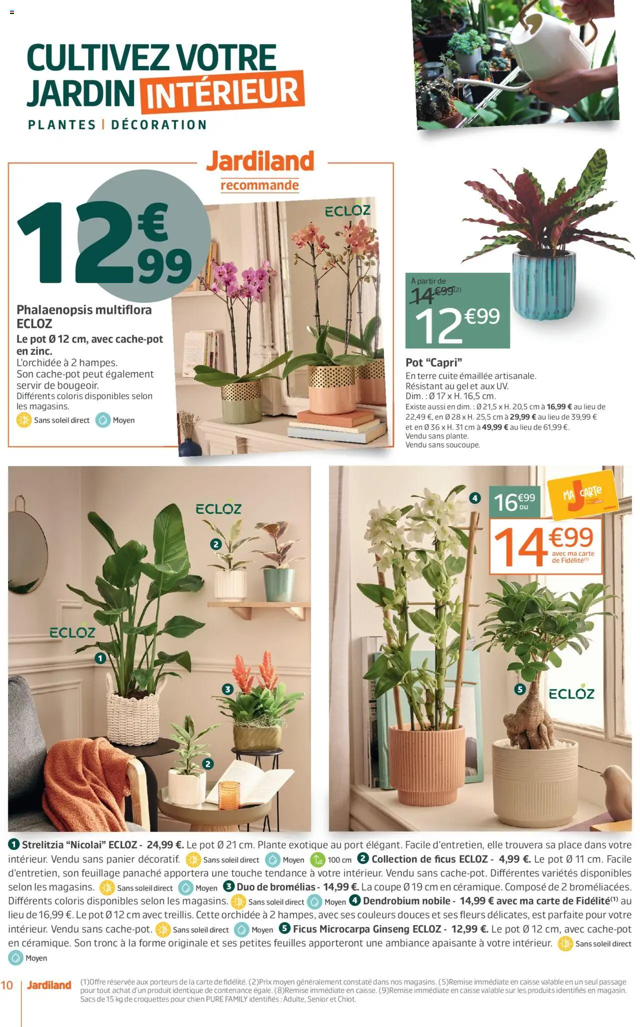 {H1} | Page: 10 | Produits: L'orchidée, Plantes, Croquettes pour chien, Panier