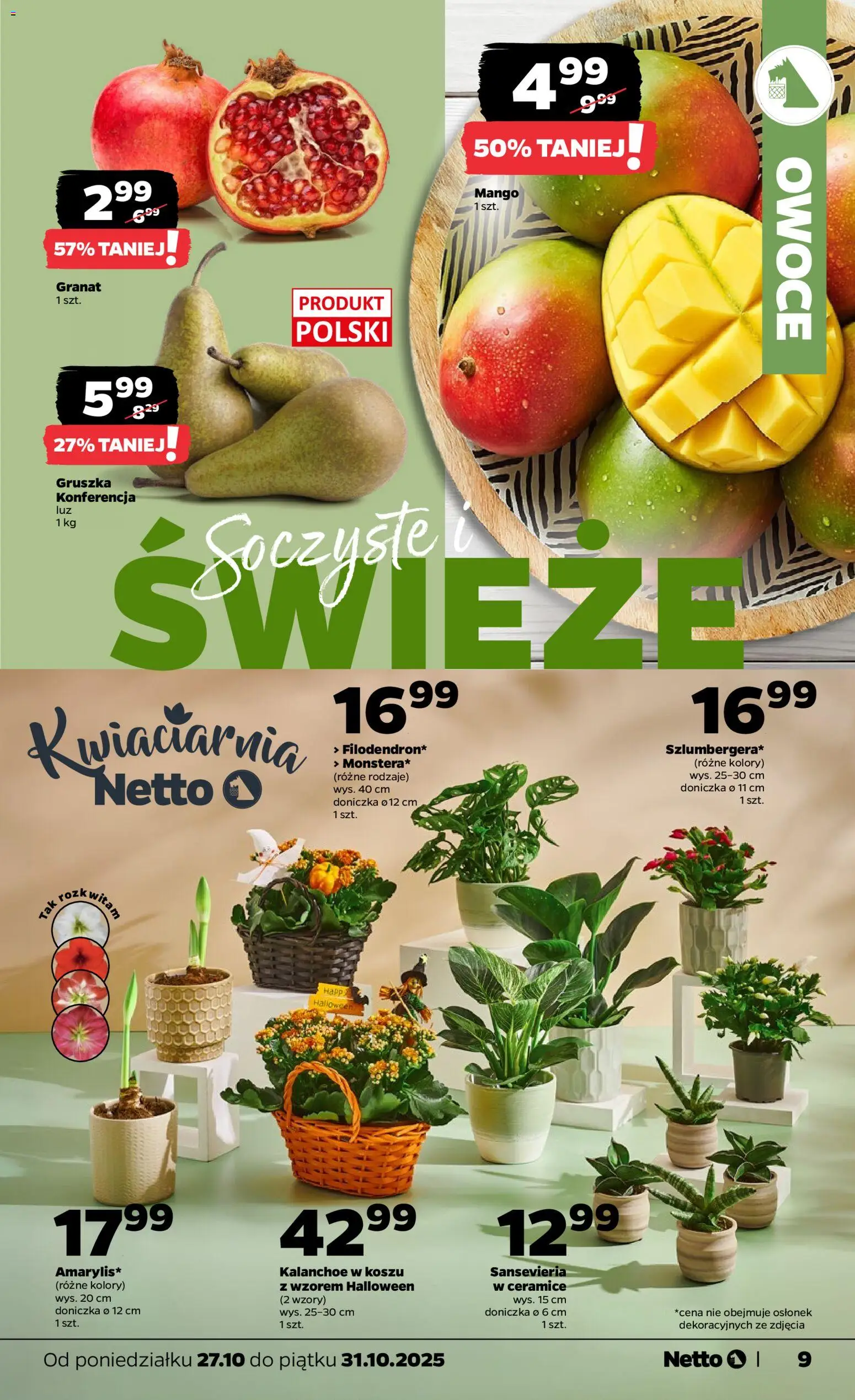 Netto gazetka - Spożywcza od 27.10.2025 | Strona: 9 | Produkty: Gruszka, Doniczka, Kalanchoe, Owoce