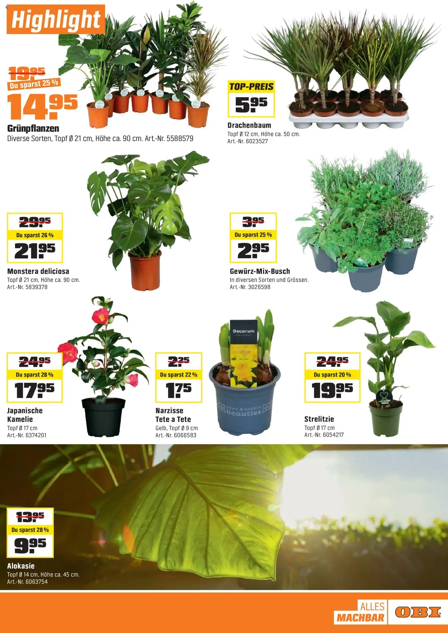 OBI Aktionen – gültig ab 10.01.2026 | Seite: 13