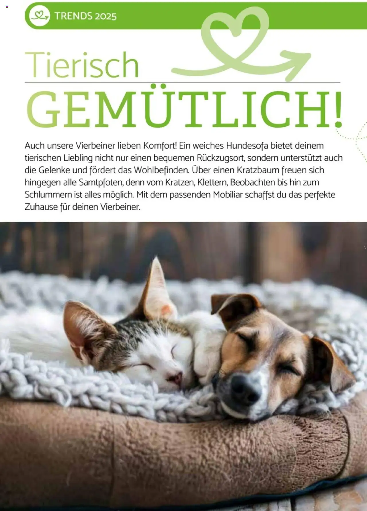zookauf -Heimtier Journal Special - gültig ab dem 21.07.2025 | Seite: 12