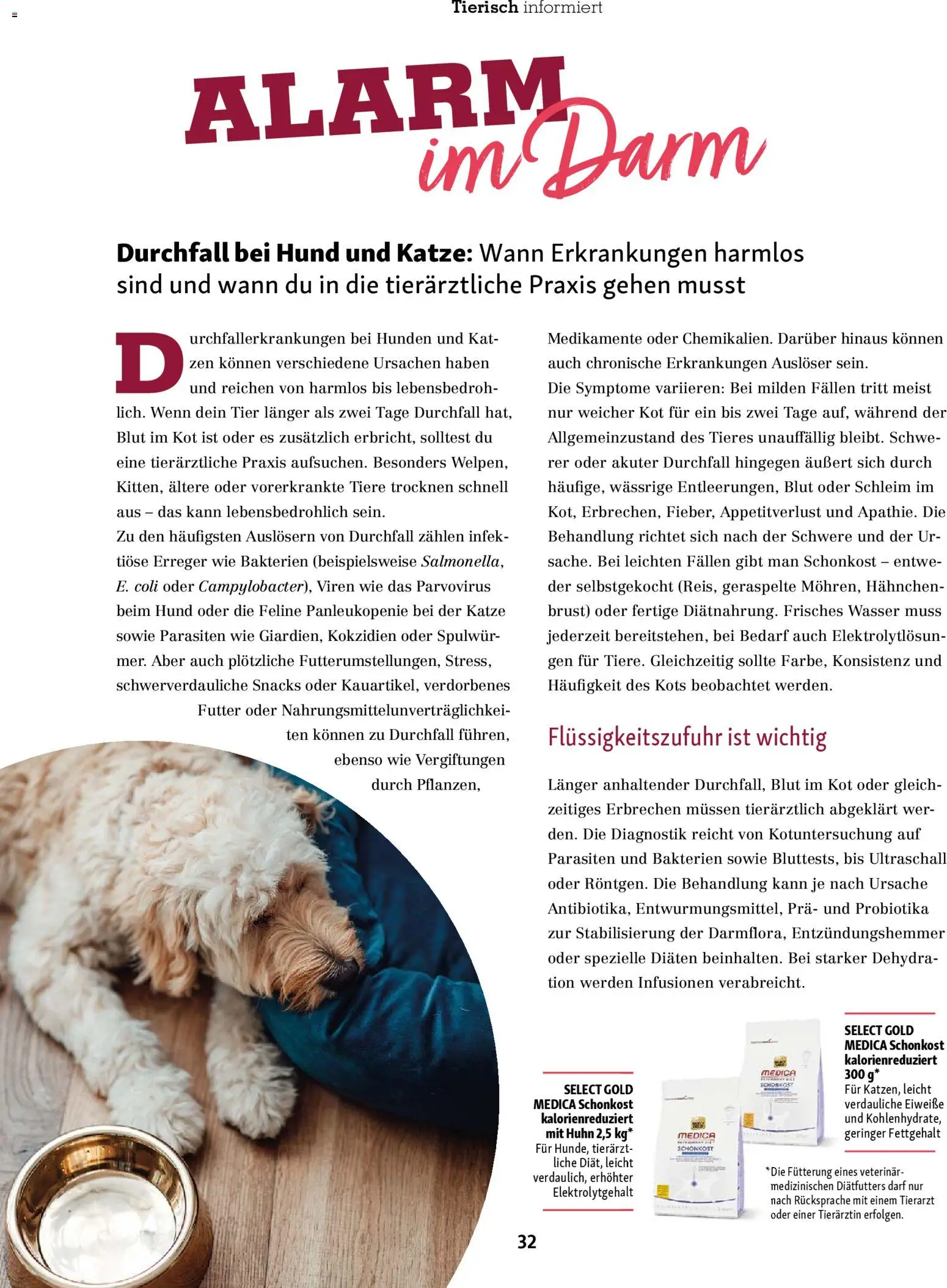 Fressnapf Friends Magazin – gültig ab 01.11.2025 | Seite: 32 | Produkte: Hahnchen, Wasser