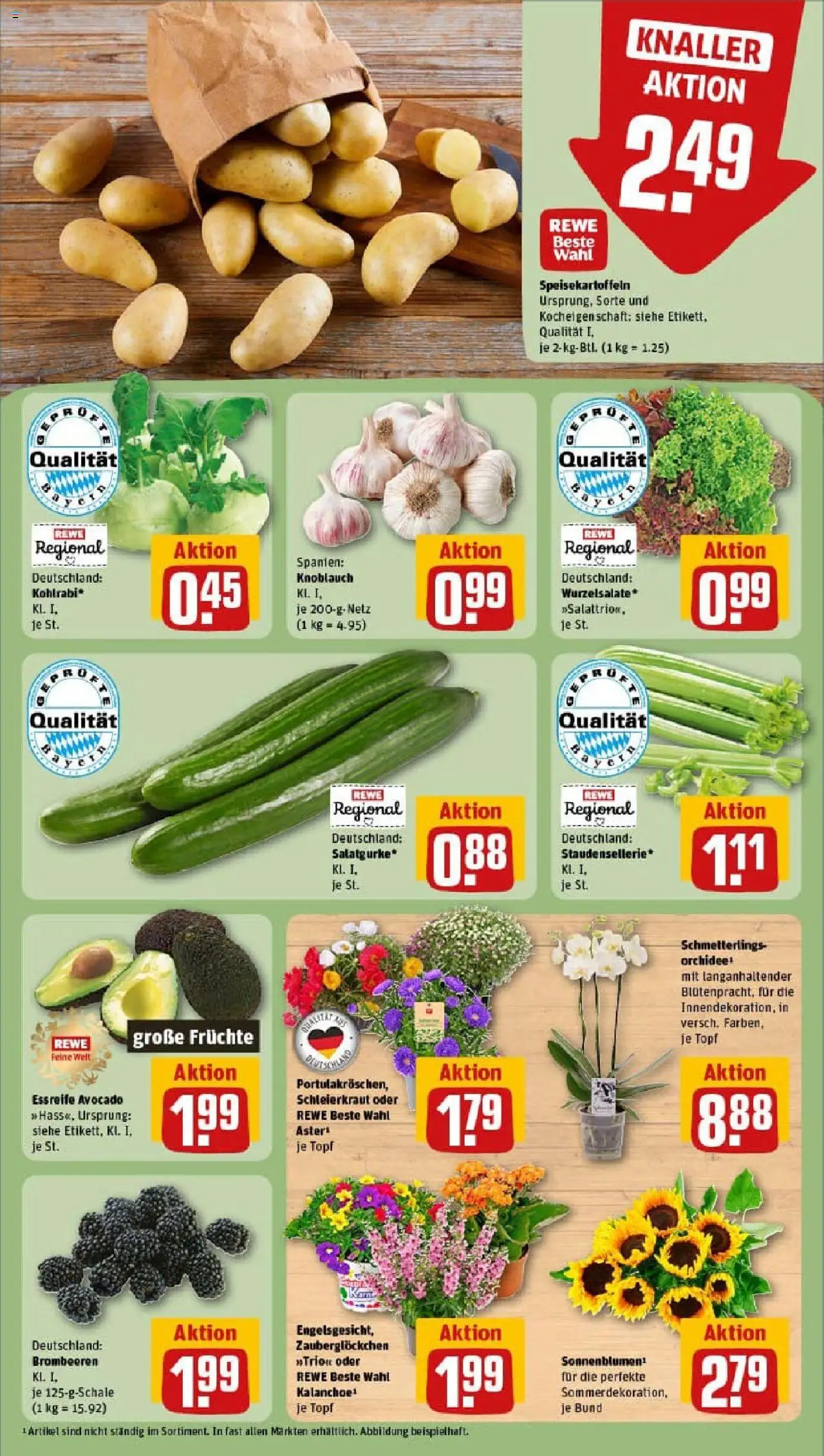 Rewe prospekt Lenting	 - gültig ab dem 06.07.2025 | Seite: 7 | Produkte: Orchidee, Kohlrabi, Avocado, Knoblauch