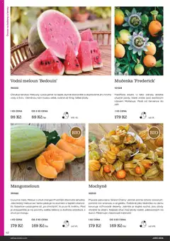 Náhled letáku Starkl katalog Jaro 2026 od 25.02.2026 | Strana: 42