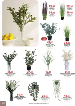 Pogląd oferty "Bodzio Katalog" - ważna od 01.04.2026 | Strona: 208 | Produkty: Kwiaty