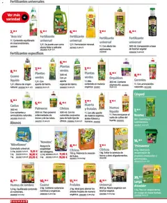 Vista previa Bauhaus Jardín válido desde el 16.03.2026 | Página: 54 | Productos: Poêle à pétrole, Palmeras